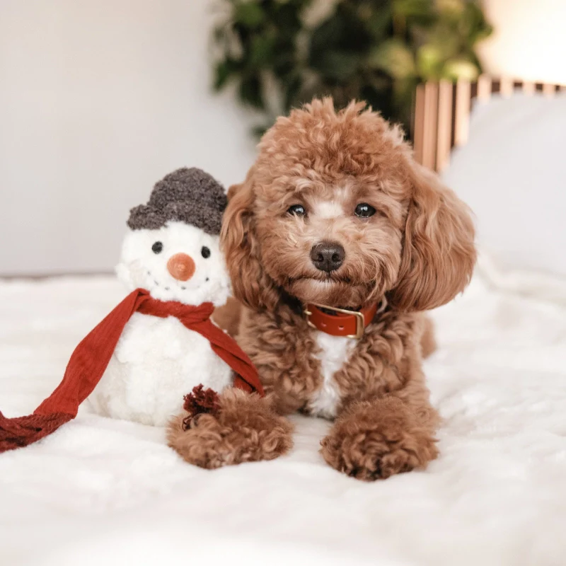 Peluche bonhomme de neige – Image 4