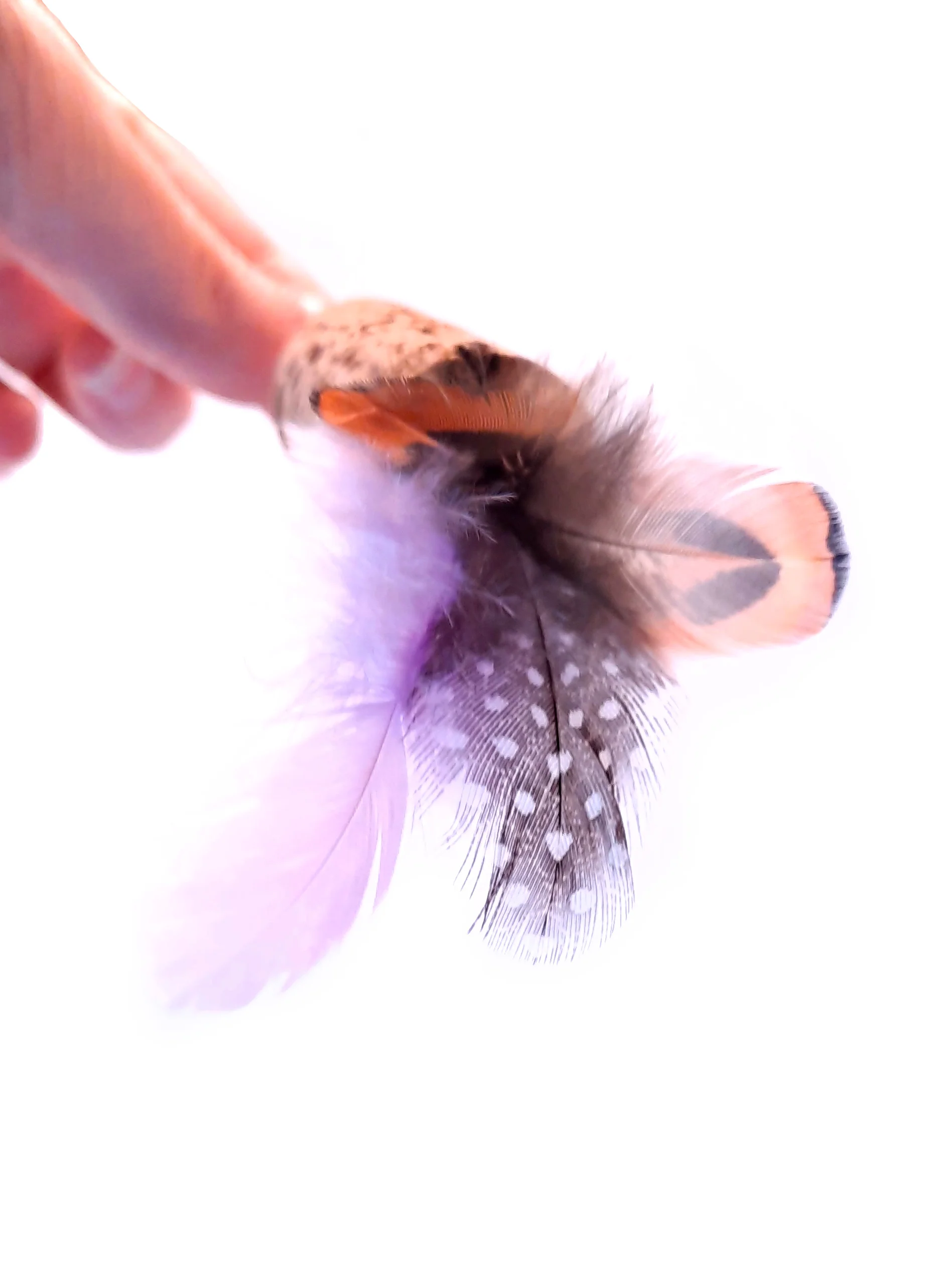 Crazycanne Plumes (Couleur au choix) – Image 8