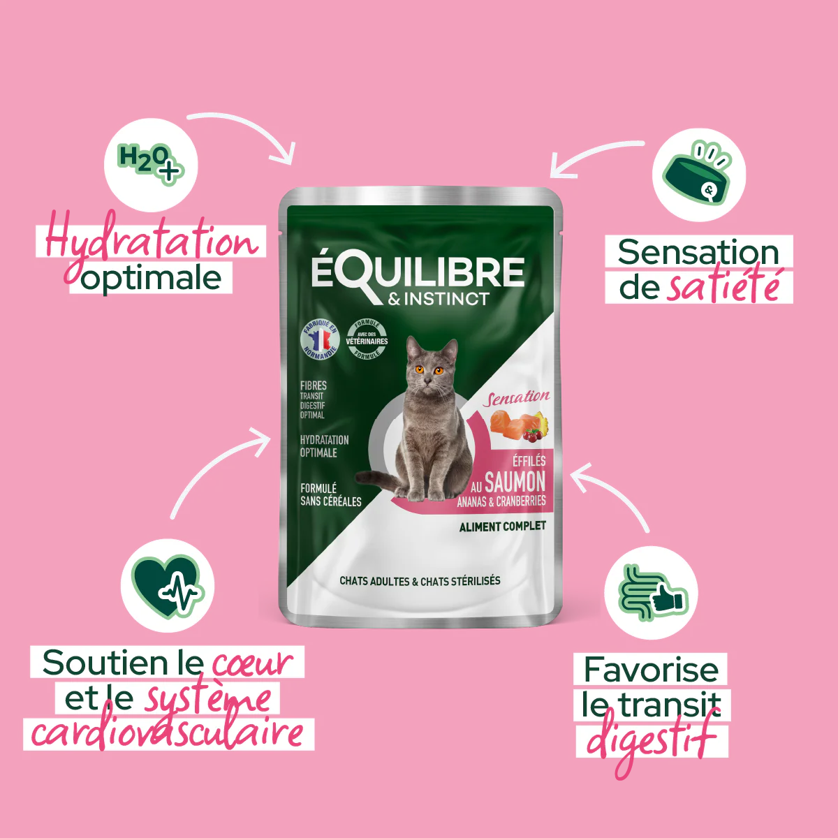 Effilés au saumon, ananas & cranberries (Chat stérilisé et Chat adulte) – Image 3
