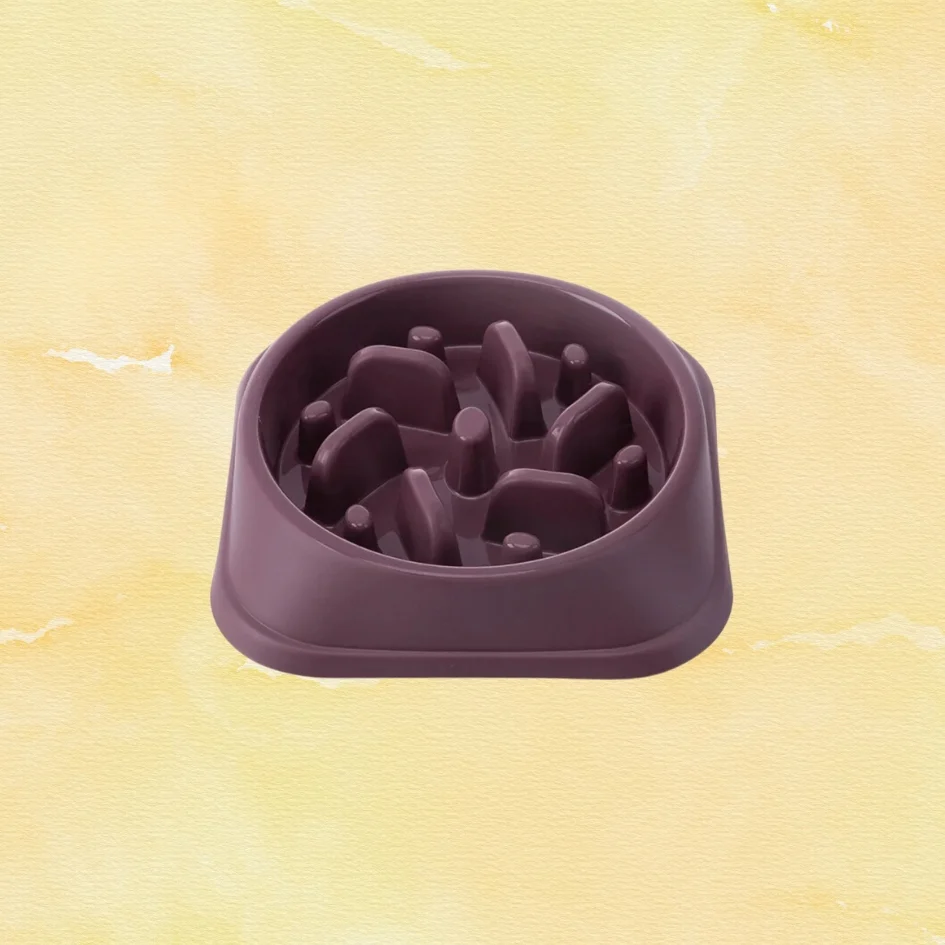 Gamelle Anti Glouton Prune