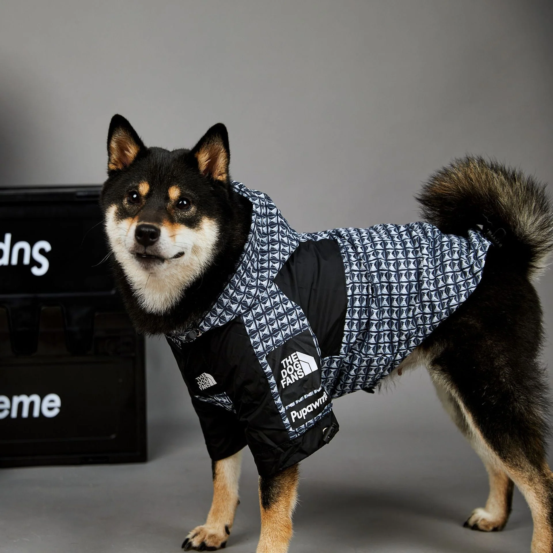 Veste coupe-vent imperméable pour chien The Dog Fans