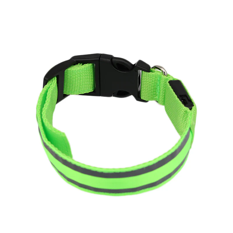 Collier lumineux pour chien – Image 6